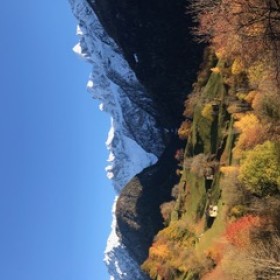 IMG_0290.jpeg